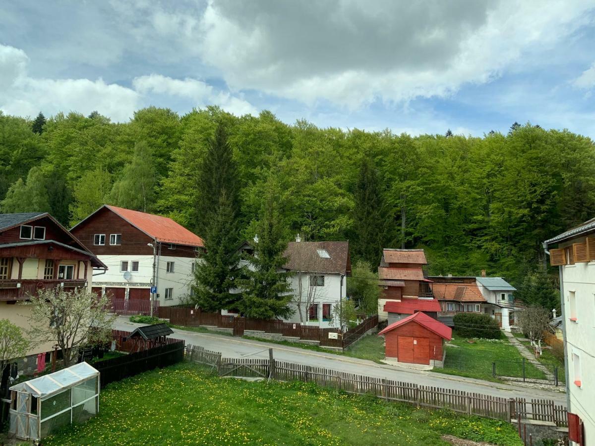 Vila Curcubeu Hotel Busteni Exterior photo